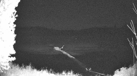 Image from 2025-04-16