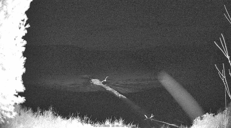 Image from 2025-04-17