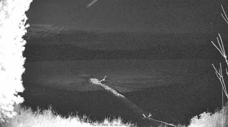 Image from 2025-04-17