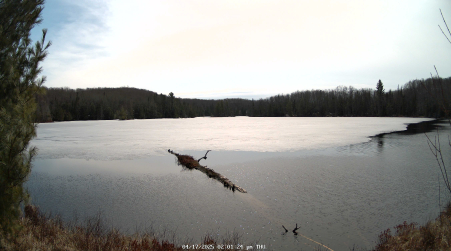 Image from 2025-04-17