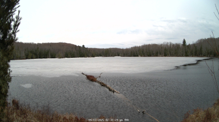 Image from 2025-04-17