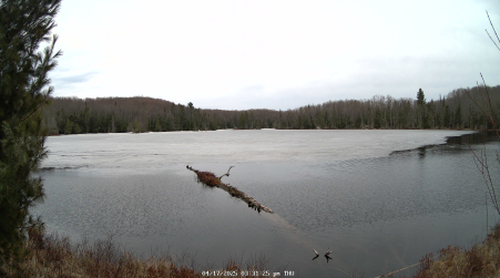 Image from 2025-04-17