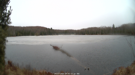 Image from 2025-04-17