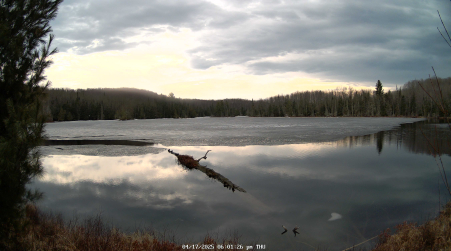 Image from 2025-04-17