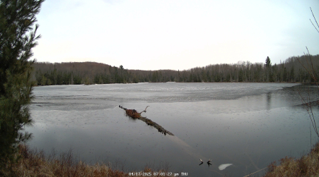 Image from 2025-04-17