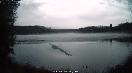 Image from 2025-04-17