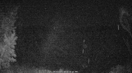 Image from 2025-04-17
