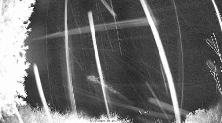 Image from 2025-04-17