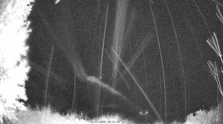 Image from 2025-04-17