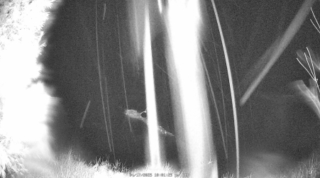 Image from 2025-04-17