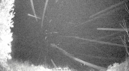 Image from 2025-04-18
