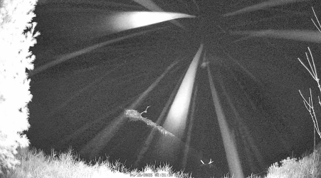 Image from 2025-04-18