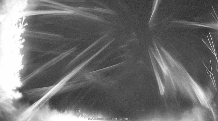 Image from 2025-04-18
