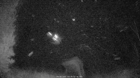Image from 2025-04-18
