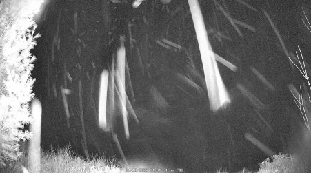 Image from 2025-04-18