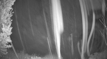 Image from 2025-04-18