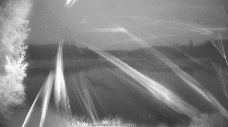 Image from 2025-04-18