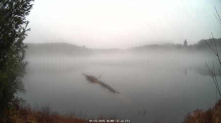 Image from 2025-04-18