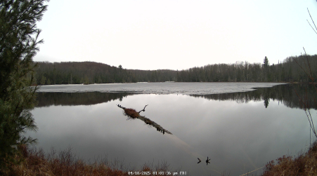 Image from 2025-04-18