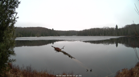 Image from 2025-04-18
