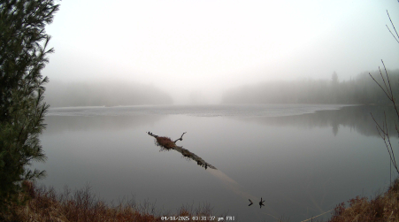 Image from 2025-04-18
