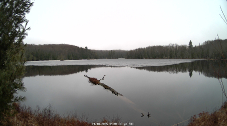 Image from 2025-04-18