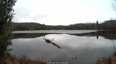 Image from 2025-04-18