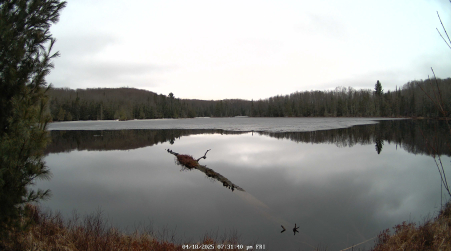 Image from 2025-04-18