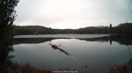 Image from 2025-04-18