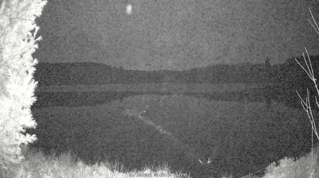 Image from 2025-04-18
