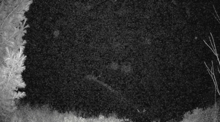 Image from 2025-04-18