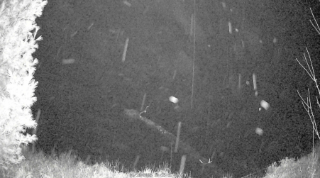 Image from 2025-04-18