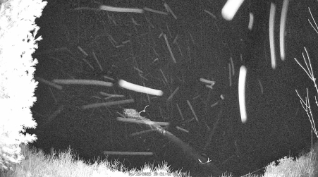 Image from 2025-04-18