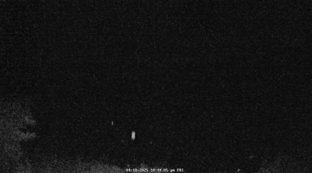Image from 2025-04-18