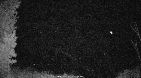 Image from 2025-04-18