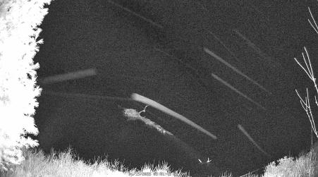 Image from 2025-04-19