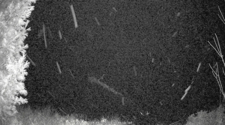 Image from 2025-04-19