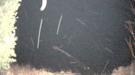 Image from 2025-04-19