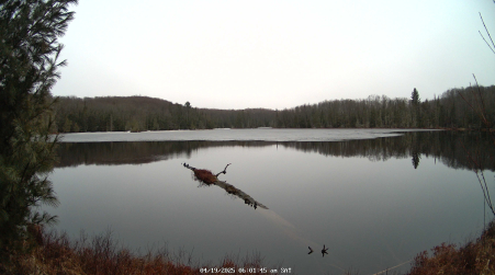 Image from 2025-04-19