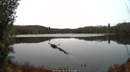 Image from 2025-04-19