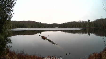 Image from 2025-04-19