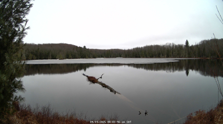 Image from 2025-04-19