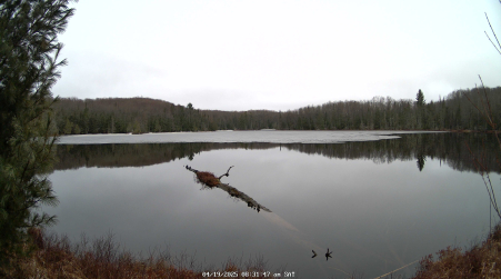 Image from 2025-04-19