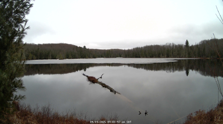 Image from 2025-04-19