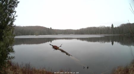 Image from 2025-04-19