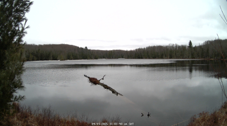 Image from 2025-04-19