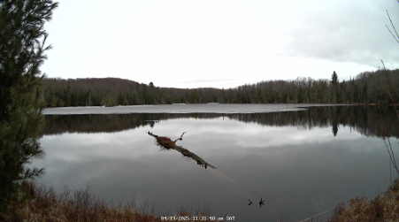 Image from 2025-04-19