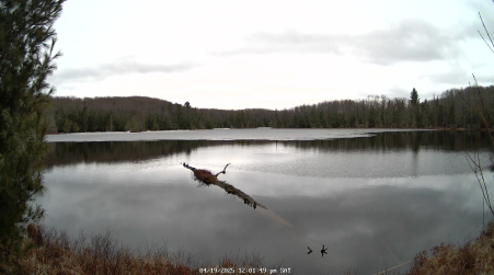 Image from 2025-04-19