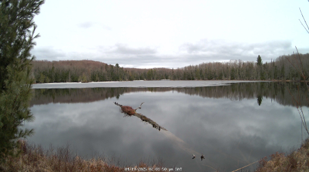 Image from 2025-04-19