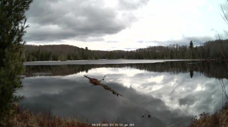 Image from 2025-04-19